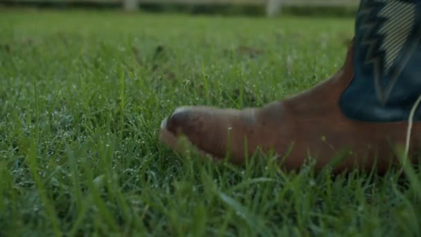 Nahaufnahme Von Land Lederstiefeln Die Zeitlupe Durch Taugrünes Gras Gehen — Stockvideo