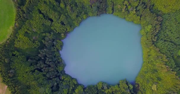 Top Video Sao Miguel Azoren Lagoa Congro Vogel Oog Verticaal — Stockvideo