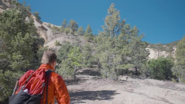 Escursionista Red Jack Escursioni Con Montagne Sulfuree Del Deserto Dello — Video Stock