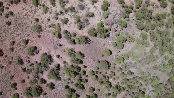Aerial Top Utah Desert Big Rock Candy Mountain — стоковое видео