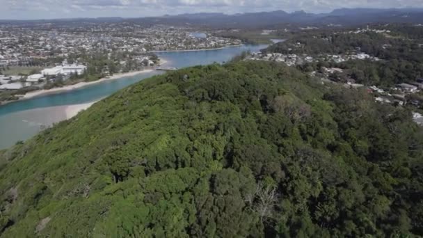 Voe Sobre Florestas Exuberantes Burleigh Head National Park Gold Coast — Vídeo de Stock