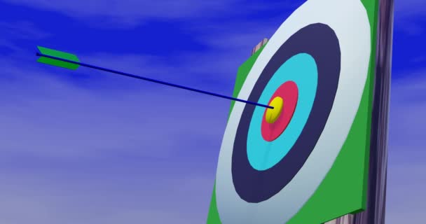 Bow Arrows Archery — Stock Video