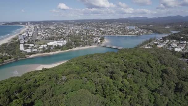 Fliegen Sie Über Den Dichten Regenwald Des Burleigh Head National — Stockvideo