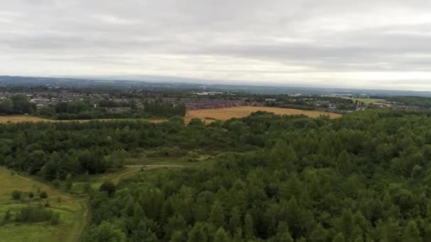 Вид Воздуха Над Лесными Деревьями Британского Леса Живописной Сельской Местности — стоковое видео