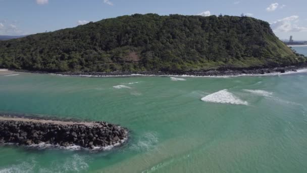 Forested Coastal Headland Burleigh Head National Park Tallebudgera River Mouth — Stockvideo