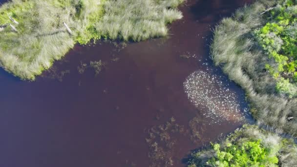 Aérea Que Muestra Agua Lluvia Corriendo Hacia Una Bahía Agua — Vídeos de Stock