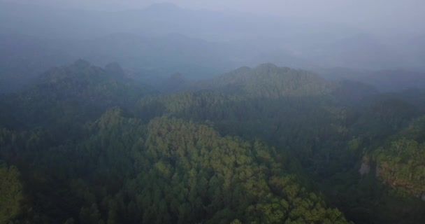Vista Aérea Del Bosque Con Clima Ligeramente Brumoso Colina Menoreh — Vídeo de stock