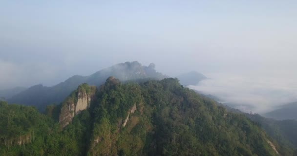 Veduta Aerea Sugli Alberi Verdi Della Foresta Che Crescono Menoreh — Video Stock