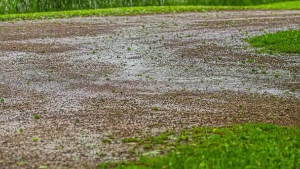 Close Tiro Sobre Caminho Cascalho Paisagem Rural Dia Chuvoso Chuva — Vídeo de Stock