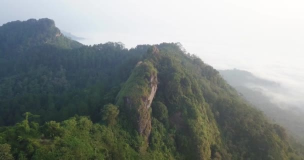 Vista Aérea Drones Del Bosque Cima Colina Menoreh Magelang Indonesia — Vídeo de stock