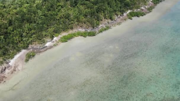 Schneller Drohnenabflug Über Küste Und Vegetation Der Whitsundays Inseln Australien — Stockvideo