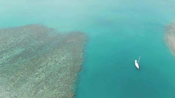 Вид Воздушного Беспилотника Яхту Плывущую Бирюзовой Океанской Воде Островов Уитсандэй — стоковое видео