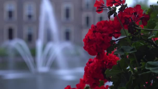 View Buitenhof Hofvijver Fountain Flowers Foreground Dutch City Den Haag — стоковое видео
