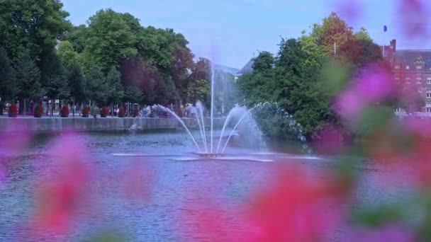 Вид Буйтенберг Островом Заднем Плане Голландском Городе Хааг Цветными Цветами — стоковое видео