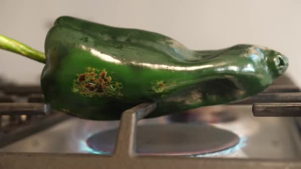 Detalle Del Disparo Brillante Pimiento Poblano Mexicano Verde Oscuro Ampollas — Vídeos de Stock