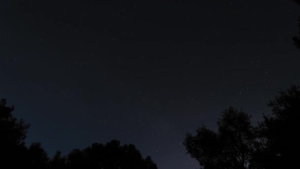 Silueta Árboles Contra Cielo Estrellado Noche Oscura Vista Lapso Tiempo — Vídeos de Stock