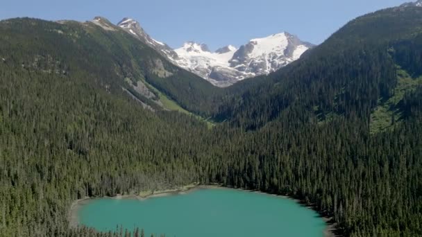 Tyrkysové Jezero Obklopené Hustými Stromy Provinčním Parku Joffre Lakes Britské — Stock video