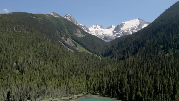 Majestuosas Montañas Forestales Del Parque Provincial Los Lagos Joffre Cerca — Vídeos de Stock