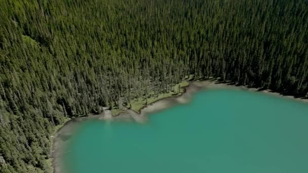 Densely Forest Mountains Joffre Lakes Provincial Park Snowcapped Peak Background — Vídeos de Stock