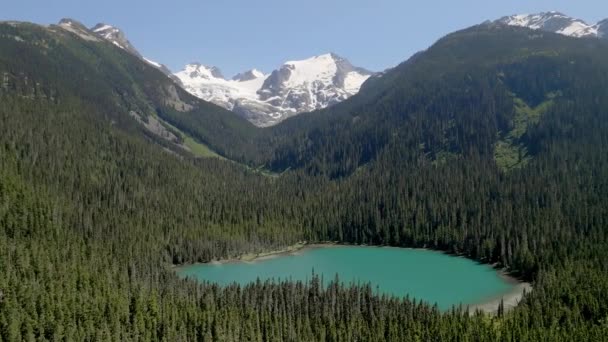 Spokojne Jeziora Położone Lasach Dolne Jezioro Joffre Lakes Provincial Park — Wideo stockowe