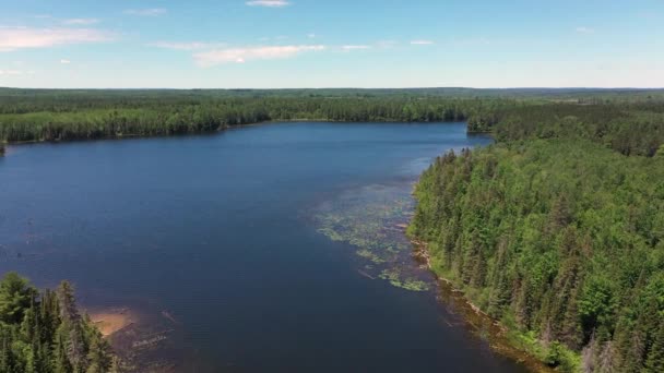 Drone Vista Della Cornovaglia Inondazioni Piccione River State Forest Nel — Video Stock
