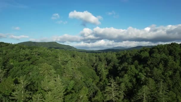 ノースカロライナ州ブルーリッジ山脈とリビル渓谷のドローン撮影 — ストック動画