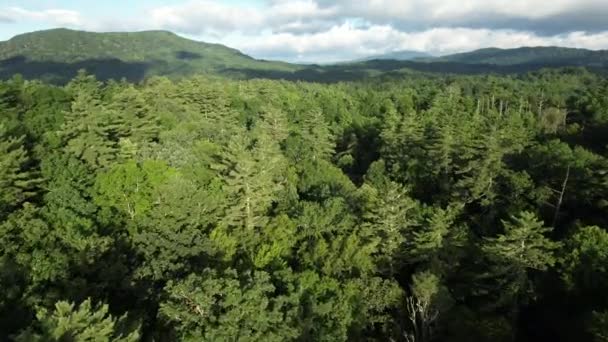 Snímek Modrých Hřebenů Linville Gorge Severní Karolíně Naklonil Dolů — Stock video