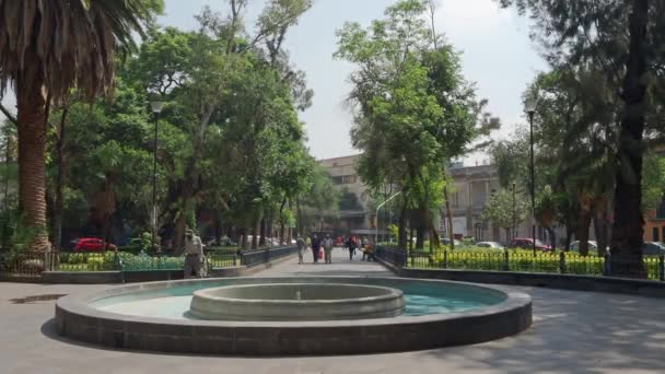 Farklı Yaşlardan Latin Insanlar Mexico City Güzel Bir Yaz Gününde — Stok video