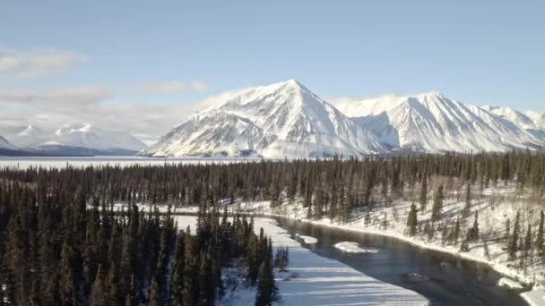 Zdjęcia Dronów Gór Yukon — Wideo stockowe