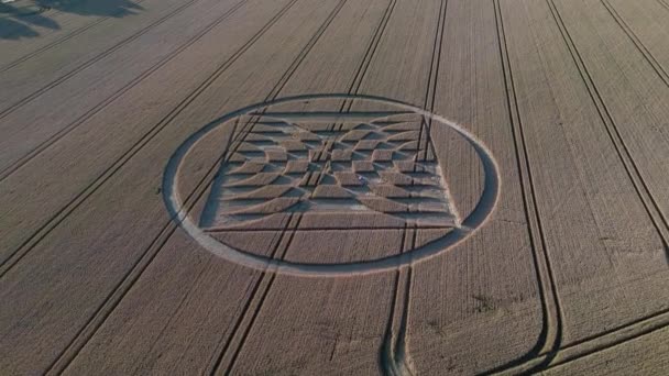 Aerial Flyover View Micheldever Station Geometric Alien Crop Circle Artwork — Stock video
