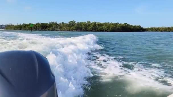 Лодка Подвесным Двигателем Моторной Лодке Флоридских Захолустных Мангровых Зарослях Вейвами — стоковое видео