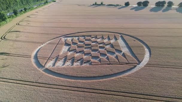 Flygfoto Flyger Över Micheldever Station Geometriska Matematiska Grödor Cirkel Jordbruksmark — Stockvideo