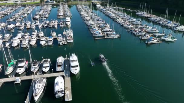 Luftaufnahme Eines Bootes Das Die Sicherheit Des Yachthafens Kommt Während — Stockvideo