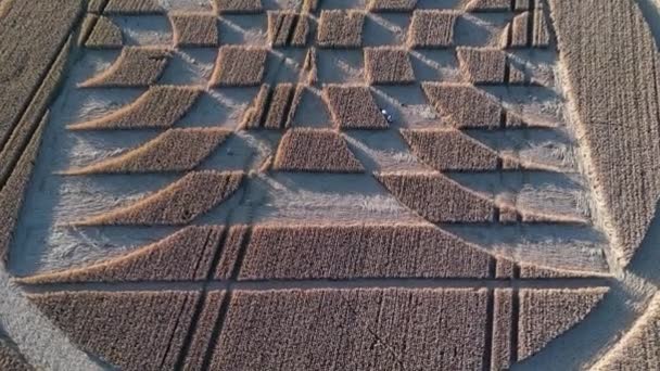 Luftaufnahme Nahaufnahme Beim Abstieg Zur Station Micheldever Mysteriöse Geometrische Kornkreisformen — Stockvideo