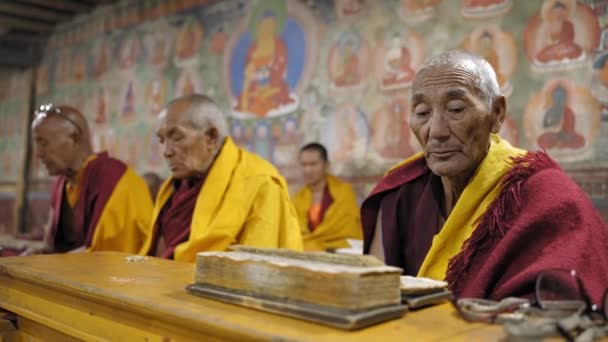 Starzy Mnisi Modlący Się Hali Zgromadzeń Klasztoru Thiksey Ladakh Indiach — Wideo stockowe