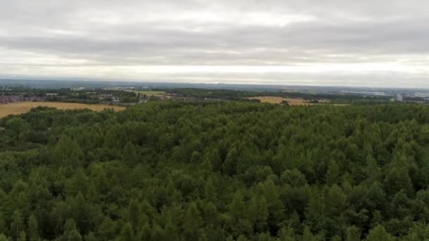 在风景秀丽的乡村公园荒野中 空中俯瞰着英国林地森林树木之上的景象 — 图库视频影像