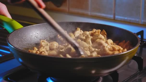 Tavada Kızarmış Tavuk Göğsü Büyüklüğünde Bir Parça Şişko Kayıp Tavuk — Stok video