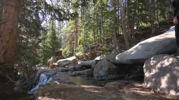 Två Vandrare Använder Timmerbro För Att Korsa Bäck Colorado Skog — Stockvideo