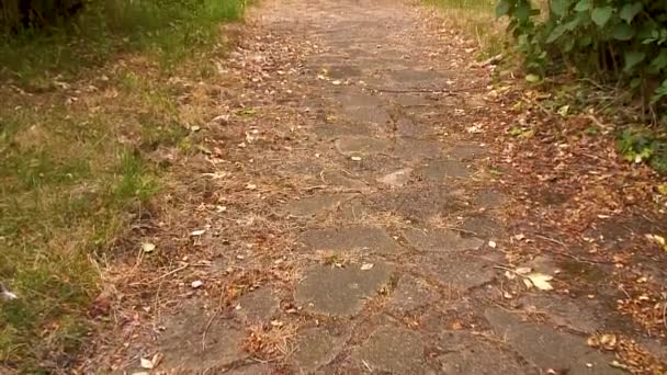 2022 Július Footpath Leading Mary Virgin Plébániatemplom Wyfordby Leicestershire England — Stock videók