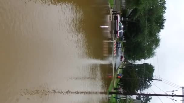 Emergencia Caso Inundación Clip Vertical Las Secuelas Del Huracán Cambio — Vídeos de Stock