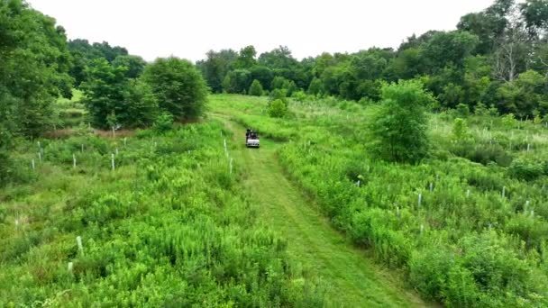 Luftaufnahmen Von Teenagern Die Atv Durch Grasbewachsenes Sumpfland Fahren Menschen — Stockvideo