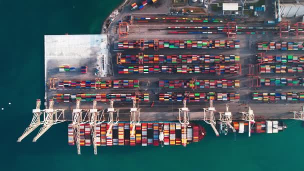 斯洛维尼亚德伊斯特里亚卡波 塞满五颜六色集装箱和起重机的港口空中俯瞰 — 图库视频影像