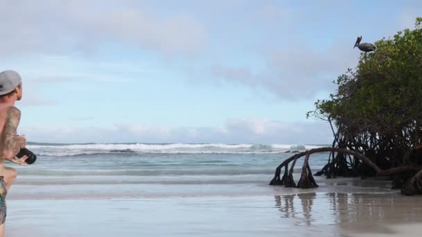 셔츠없는 관광객 Kneeling Tortuga Bay Beach Taking Photograph Flying Brown — 비디오