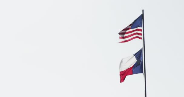 損傷を受けたアメリカの旗は テキサス州ミッションの米墨国境に沿ってアンザルドゥアス公園で安定した風と明るい日差しの中でテキサス州の旗の上を飛ぶ — ストック動画
