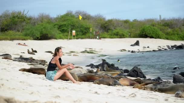 Femmina Turistica Sab Accanto Gruppo Leoni Mare Chilling Sulla Spiaggia — Video Stock