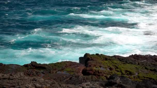 ガラパゴス諸島のプンタ スアレスの岩の海岸線にあるブローホールを通って噴き出すターコイズブルーの海 スローモーション — ストック動画