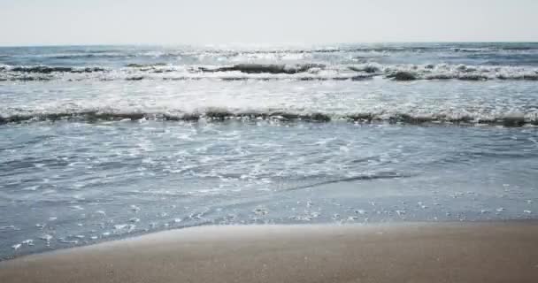 텍사스 캐머런 카운티 해변에서 멕시코 만에서 해변으로 밀려온 — 비디오