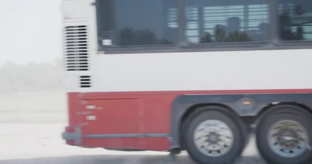Autobús Patrulla Fronteriza Estados Unidos Aleja Con Migrantes Detenidos Recientemente — Vídeo de stock