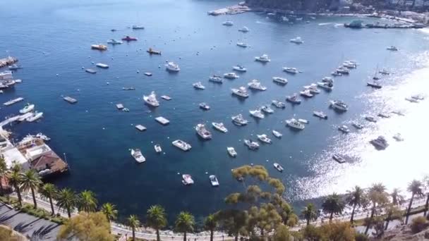 Port Avalon Wyspa Catalina Drone Strzał Nad Portem Łodzi Dokujących — Wideo stockowe