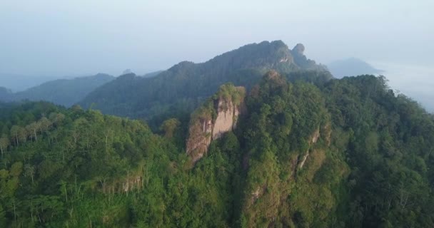 隆隆的无人驾驶飞机在被茂密的森林环绕的山脉顶部拍摄 在多雾的白天 山顶上有一个巨大的岩石悬崖 靠近山顶飞行 印度尼西亚 — 图库视频影像